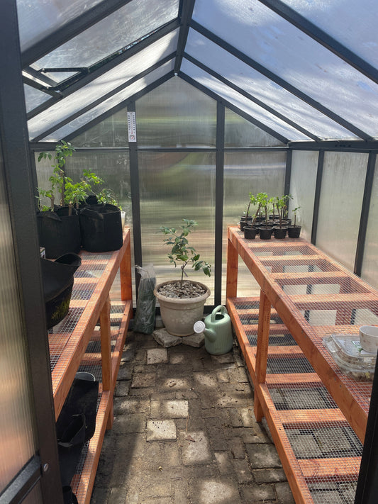 Garden Diaries #3
