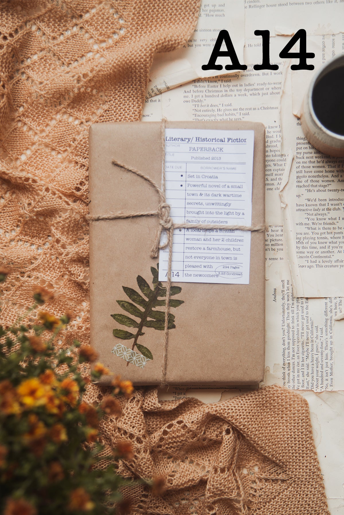 Surprise Date with a Book (Historical Fiction)