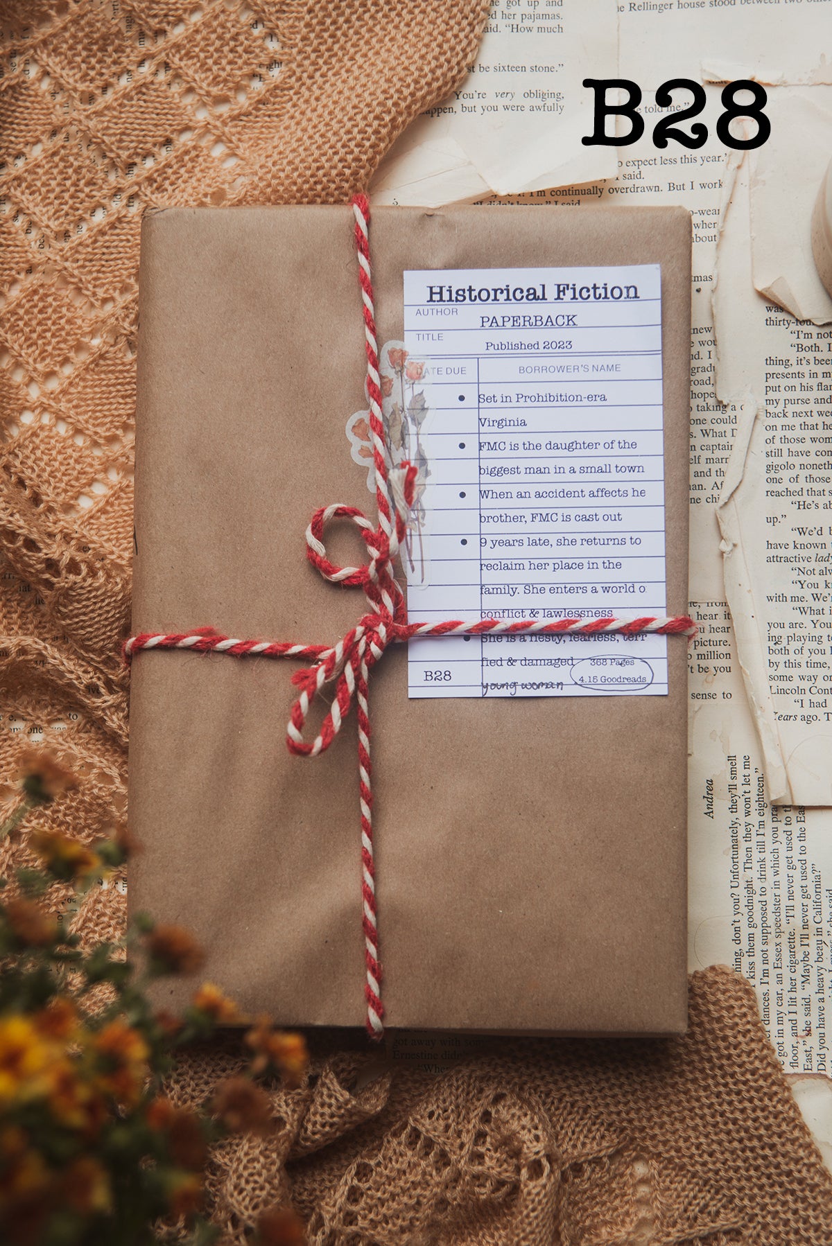 Surprise Date with a Book (Historical Fiction)