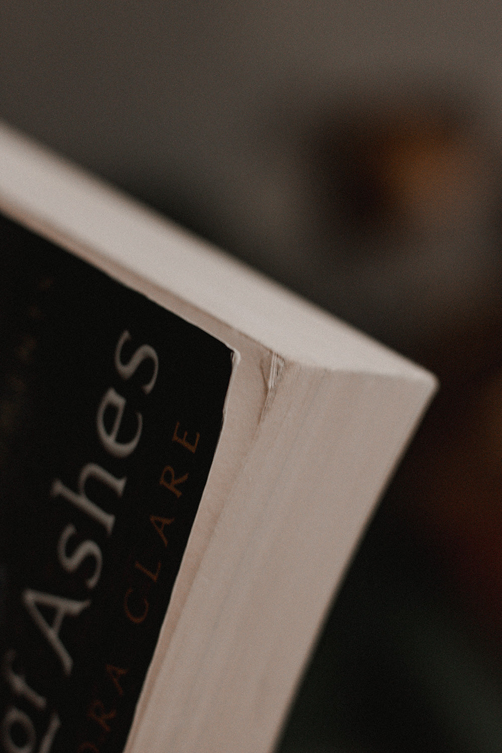 City of Ashes by Cassandra Clare