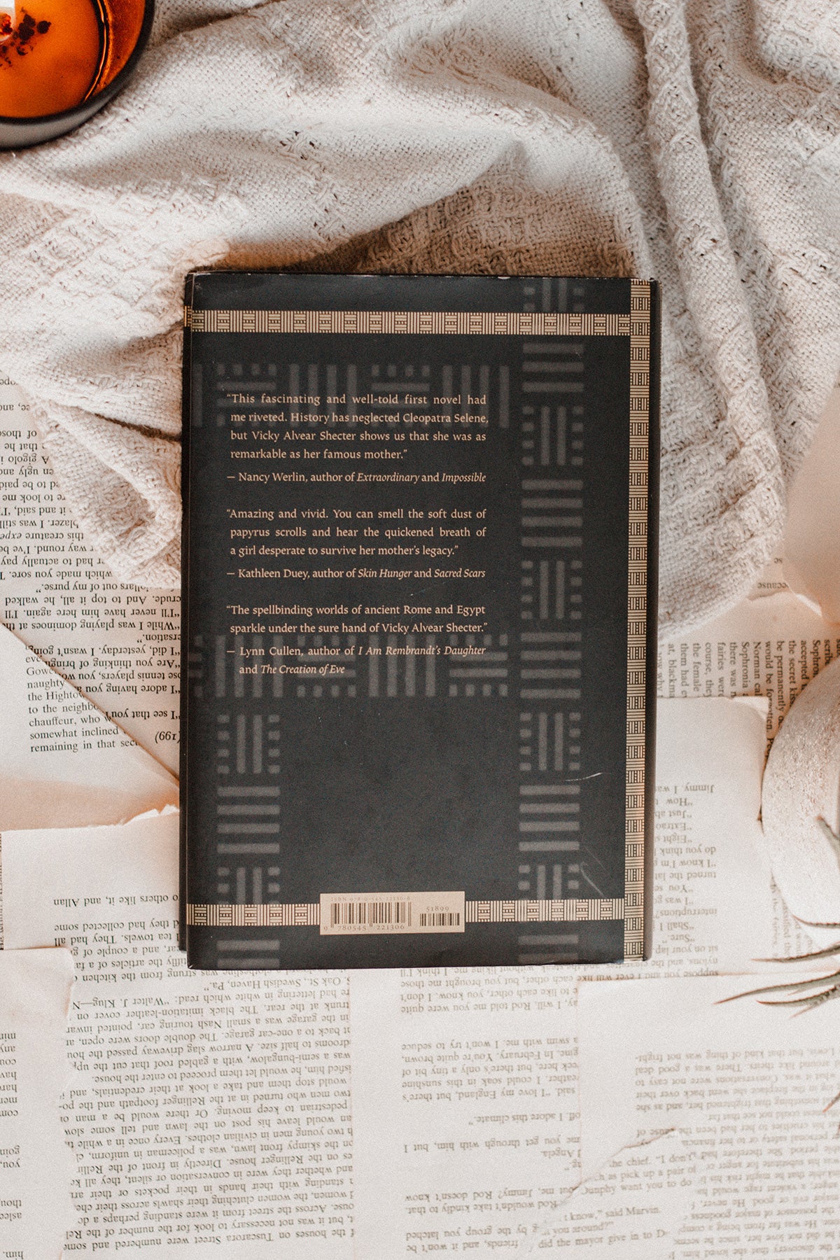 Cleopatra's Moon by Vicky Alvear Shecter