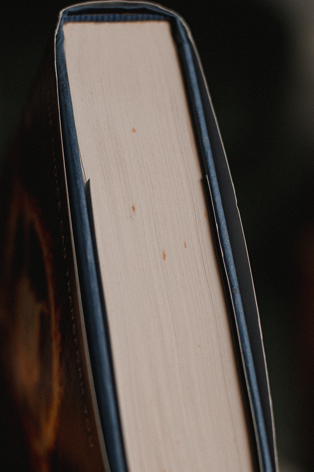 Divergent by Veronica Roth