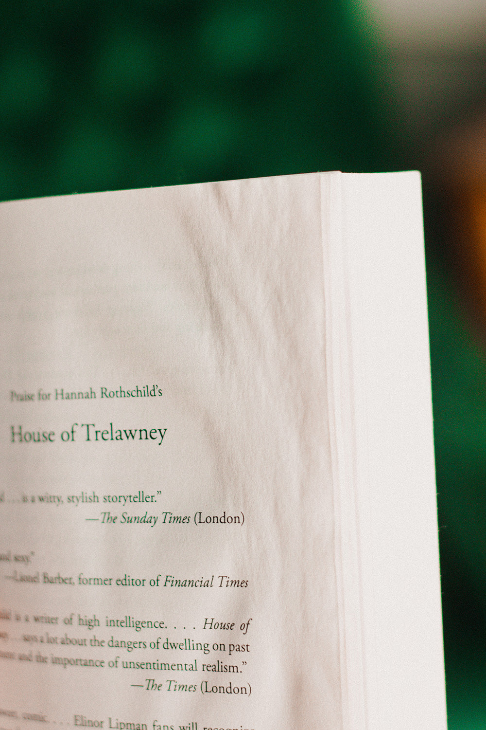 House of Trelawney by Hannah Rothschild