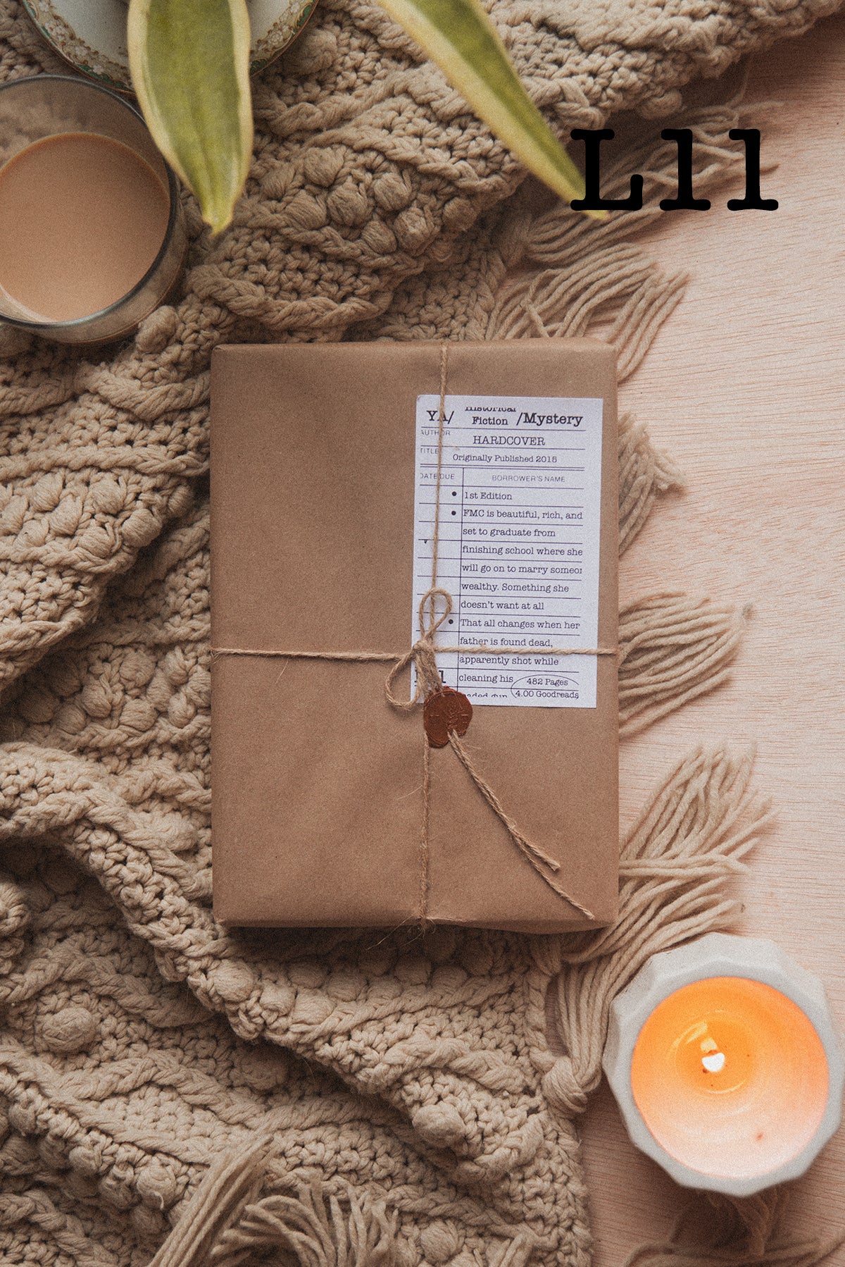 Surprise Date with a Book (YA Romance)