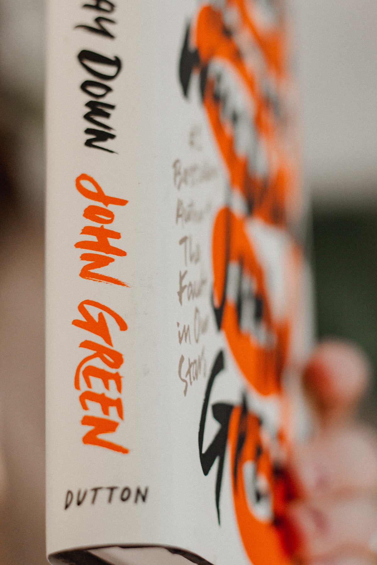 Turtles all the Way Down by John Green