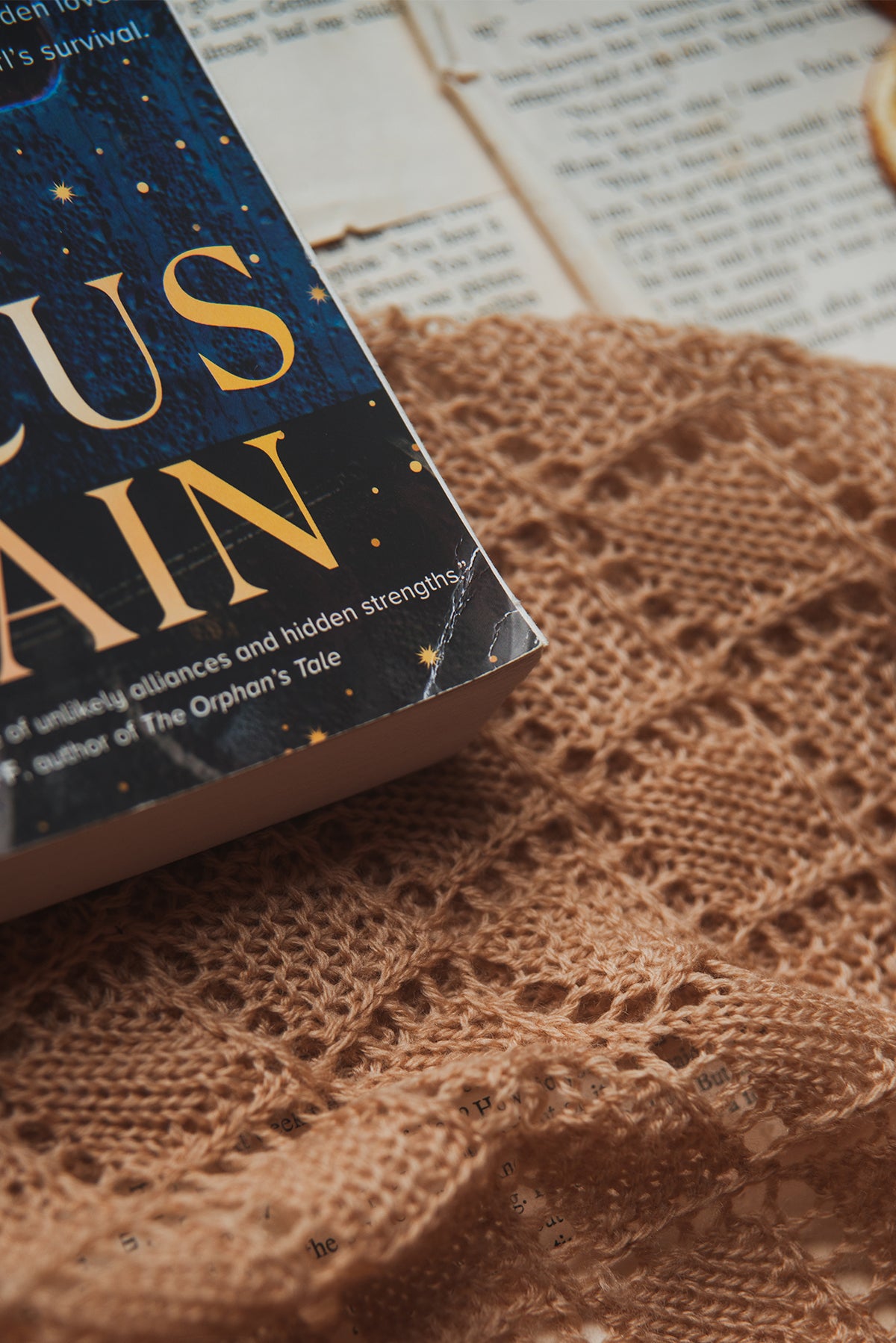 The Circus Train by Amita Parikh