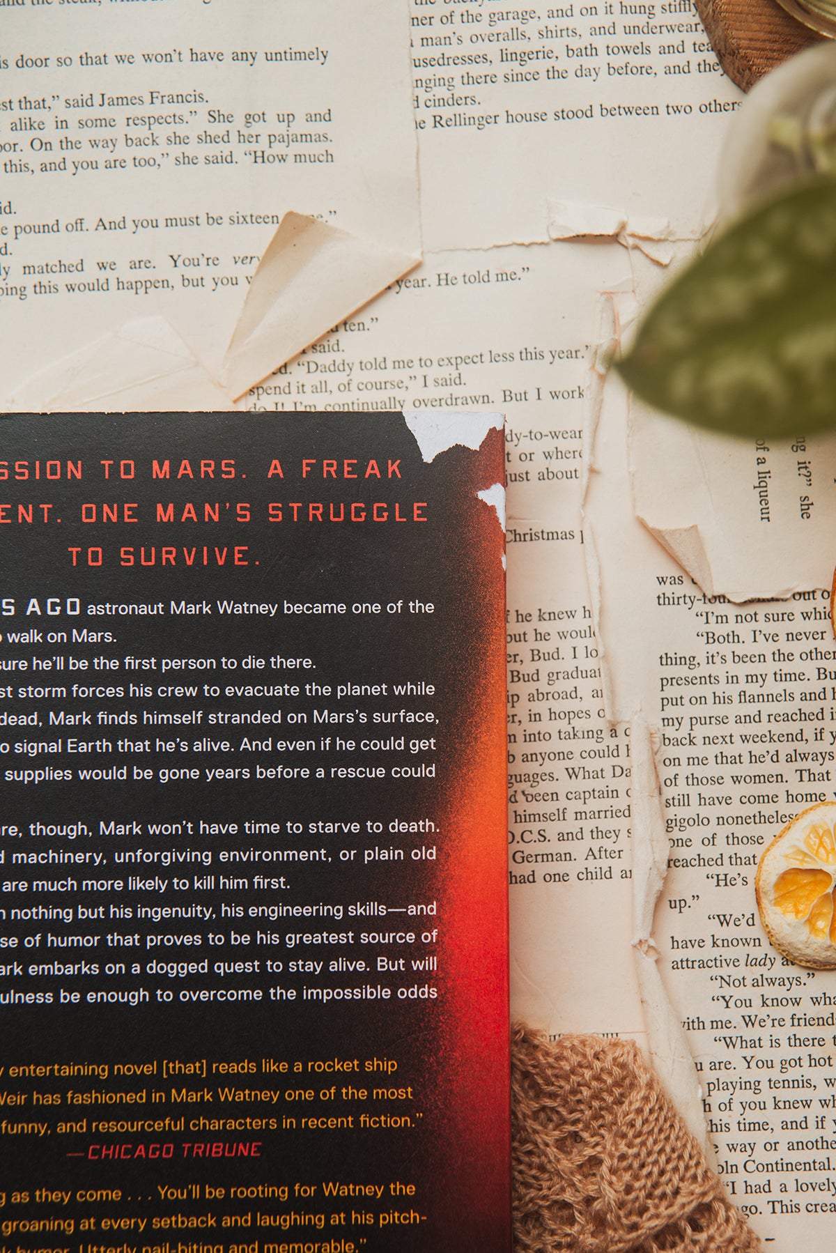 The Martian by Andy Weir