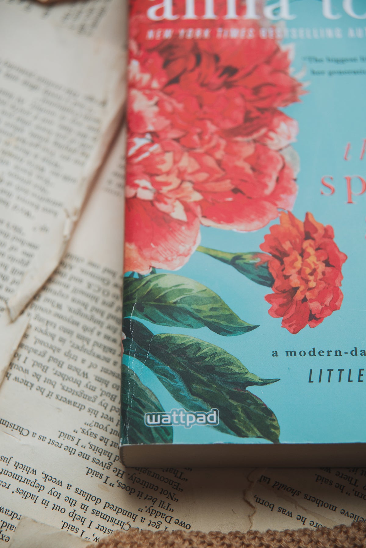 The Spring Girls by Anna Todd