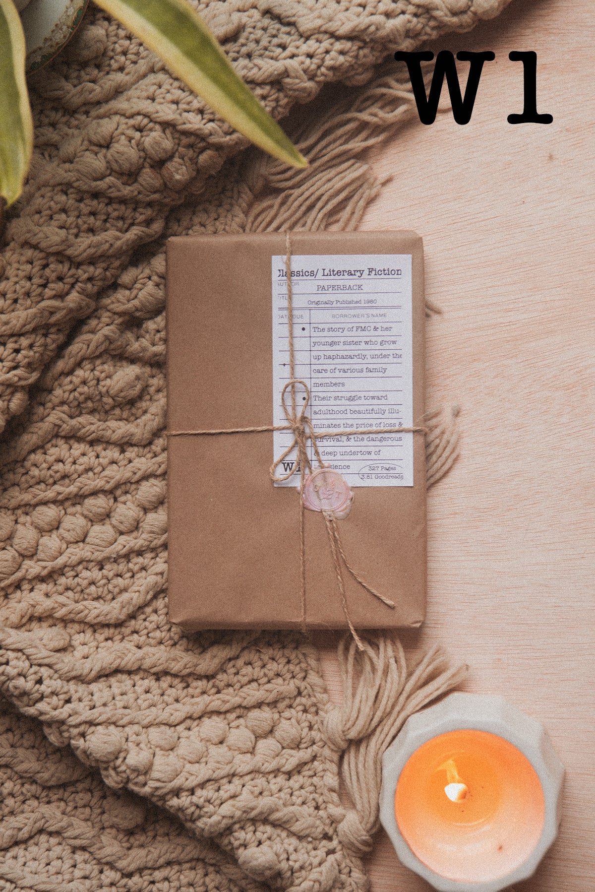 Surprise Date with a Book (Literary Fiction)