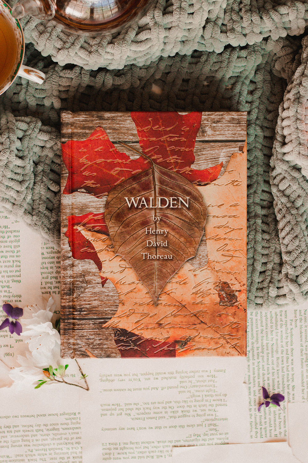 Walden by Henry David Thoreau