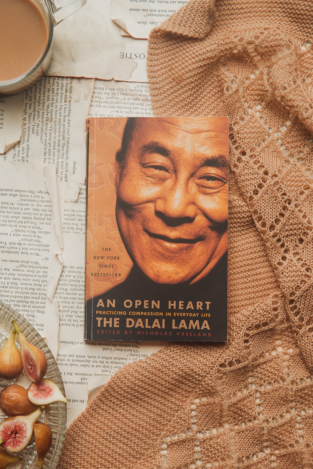 An Open Heart by the Dalai Lama