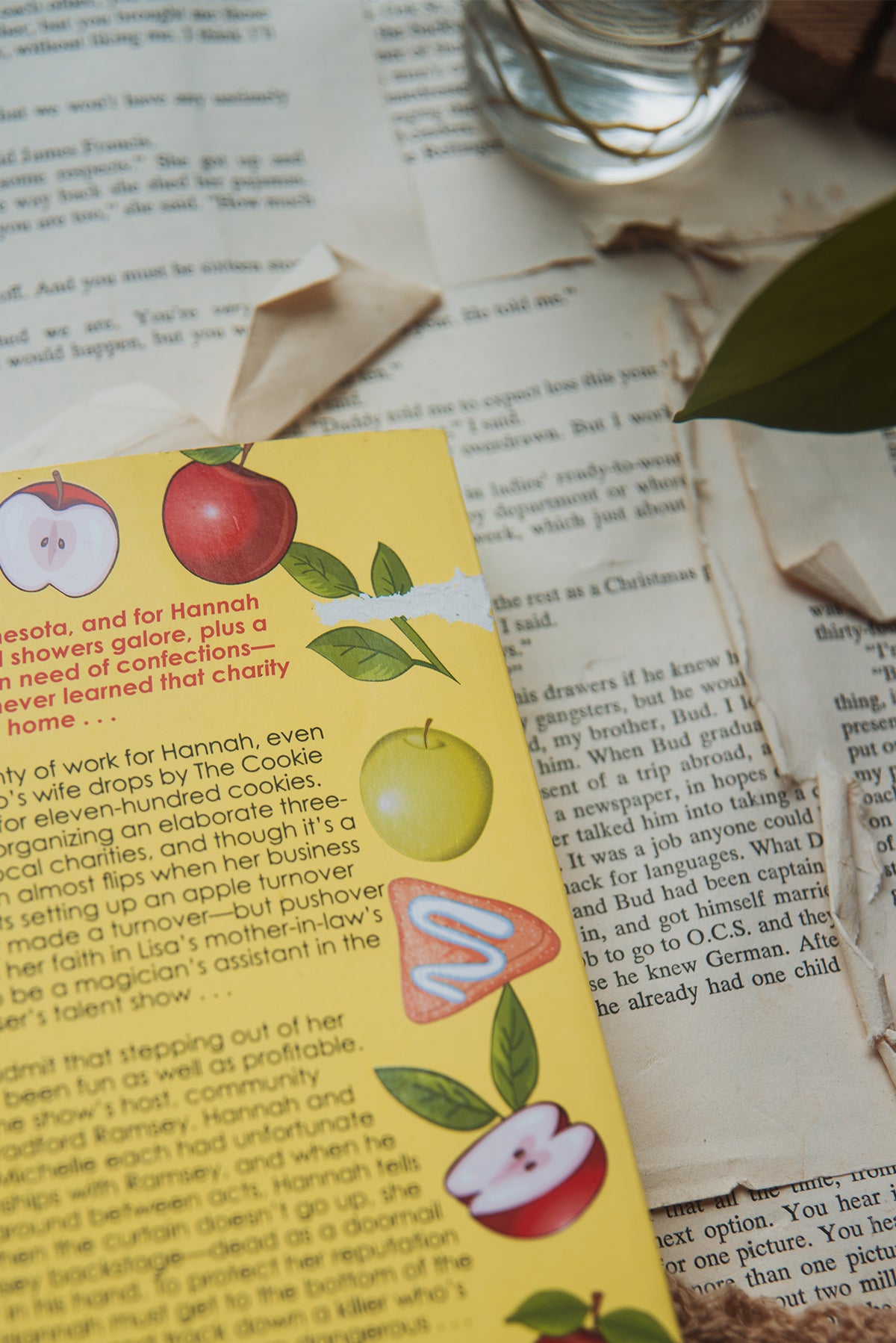 Apple Turnover Murder by Joanne Fluke