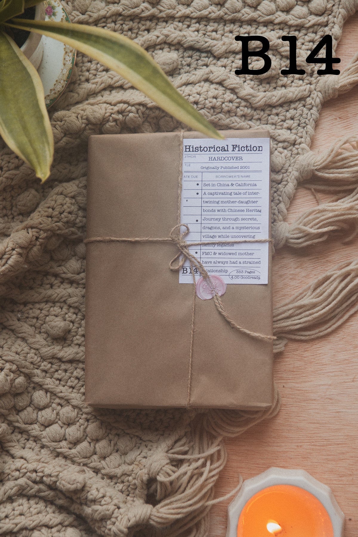 Surprise Date with a Book (Historical Fiction)