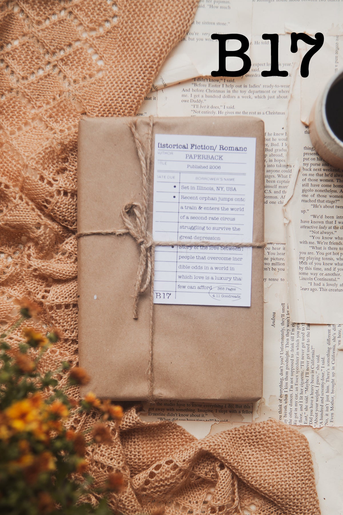 Surprise Date with a Book (Romance)