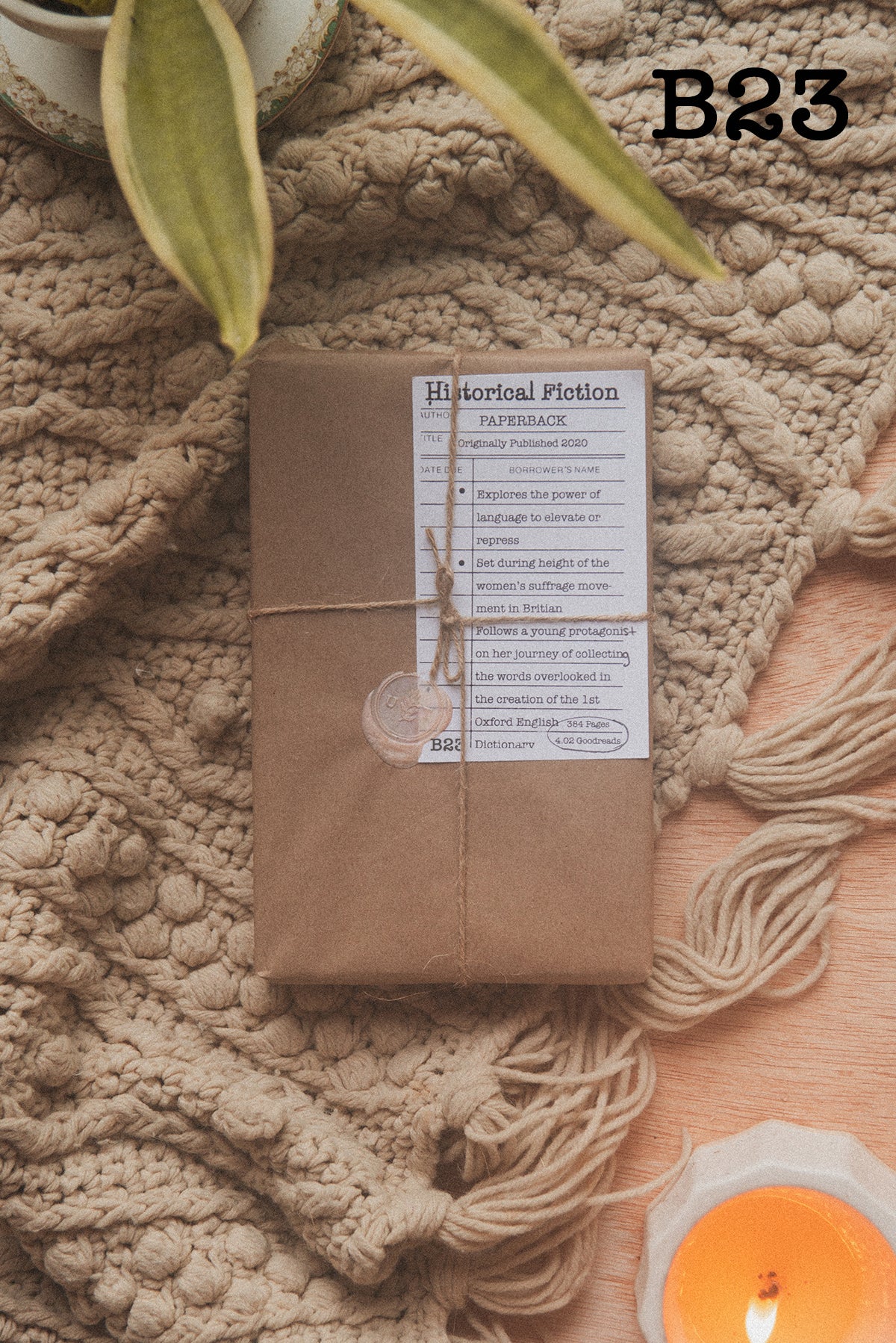 Surprise Date with a Book (Historical Fiction)