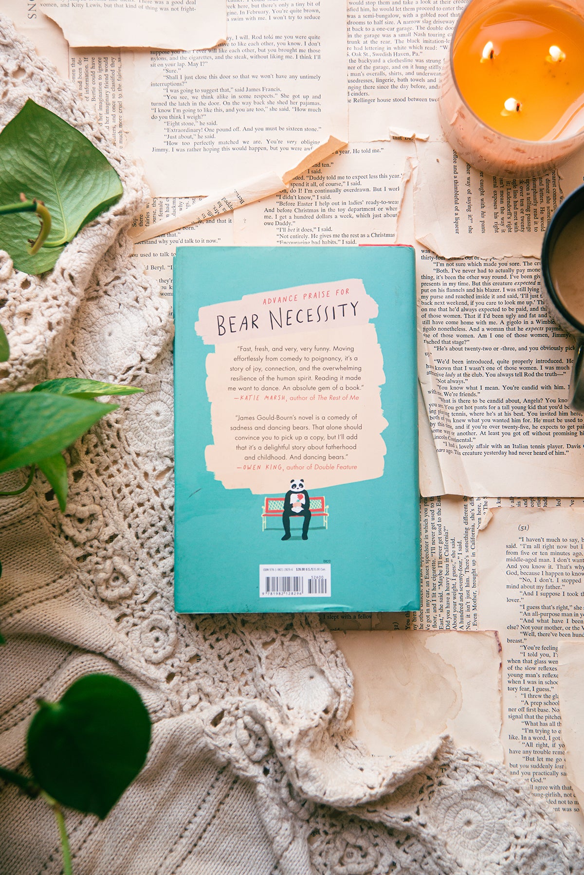 Bear Necessity by James Gould-Bourn