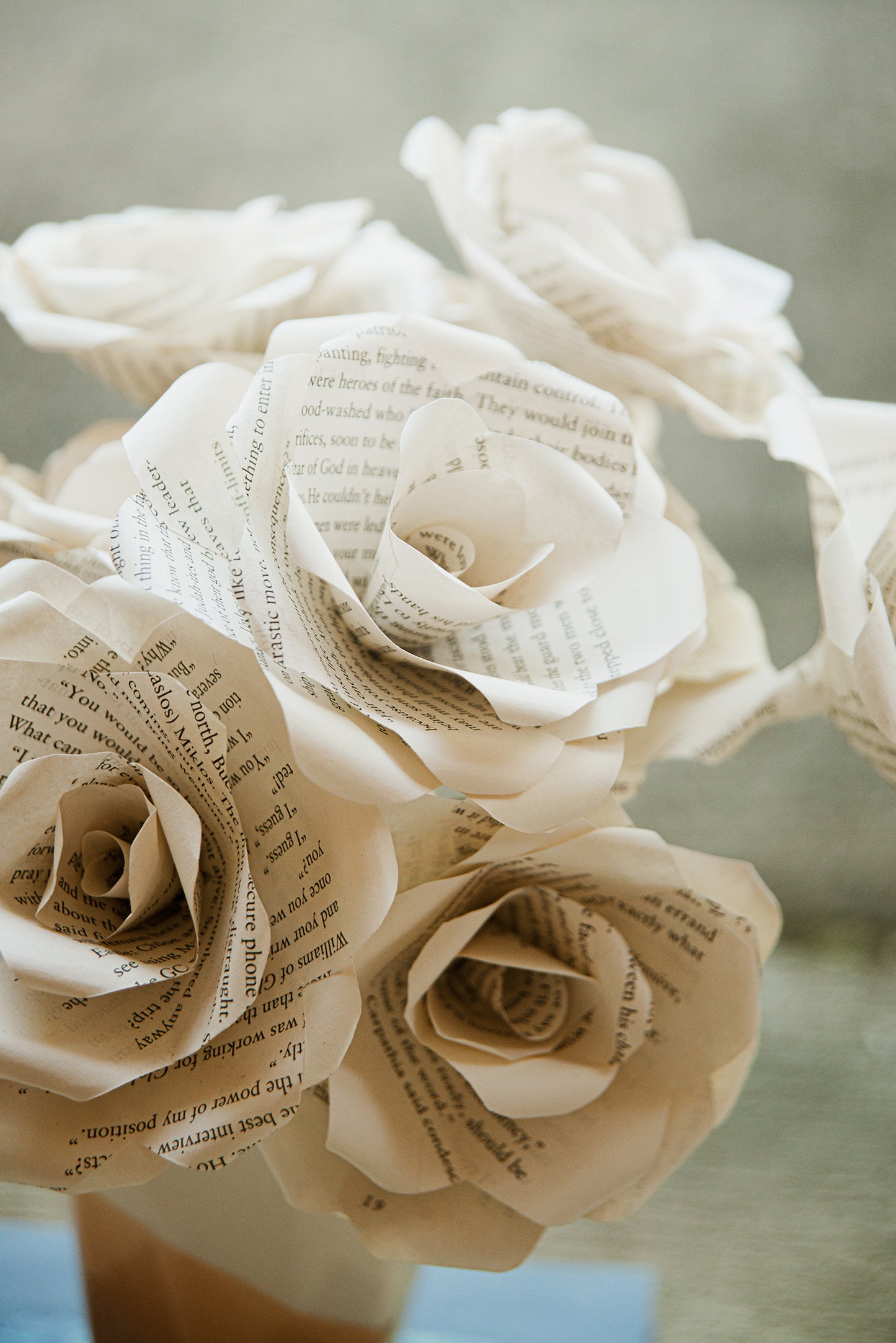 Bookish Rose - Cream