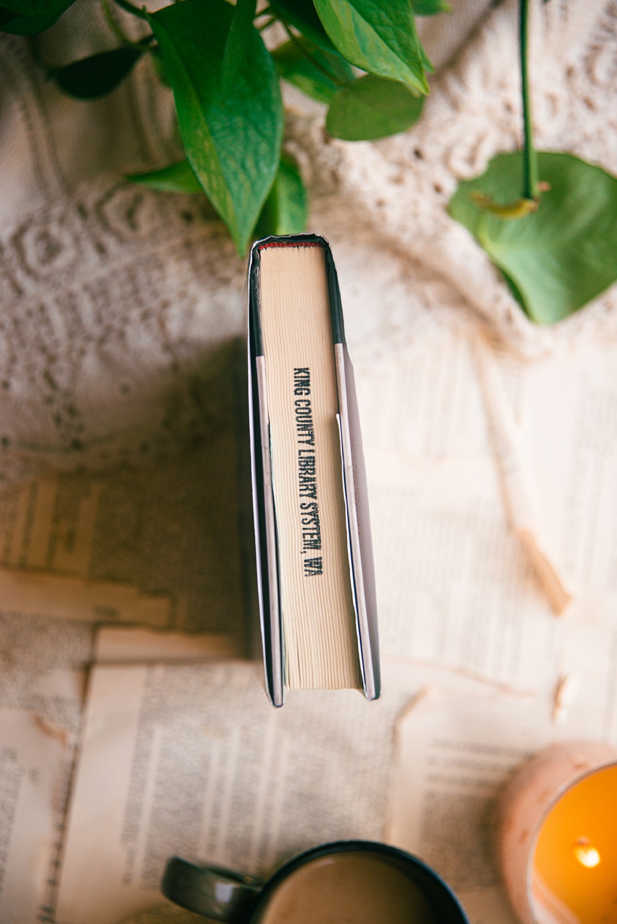 Hang the Moon by Jeannette Walls