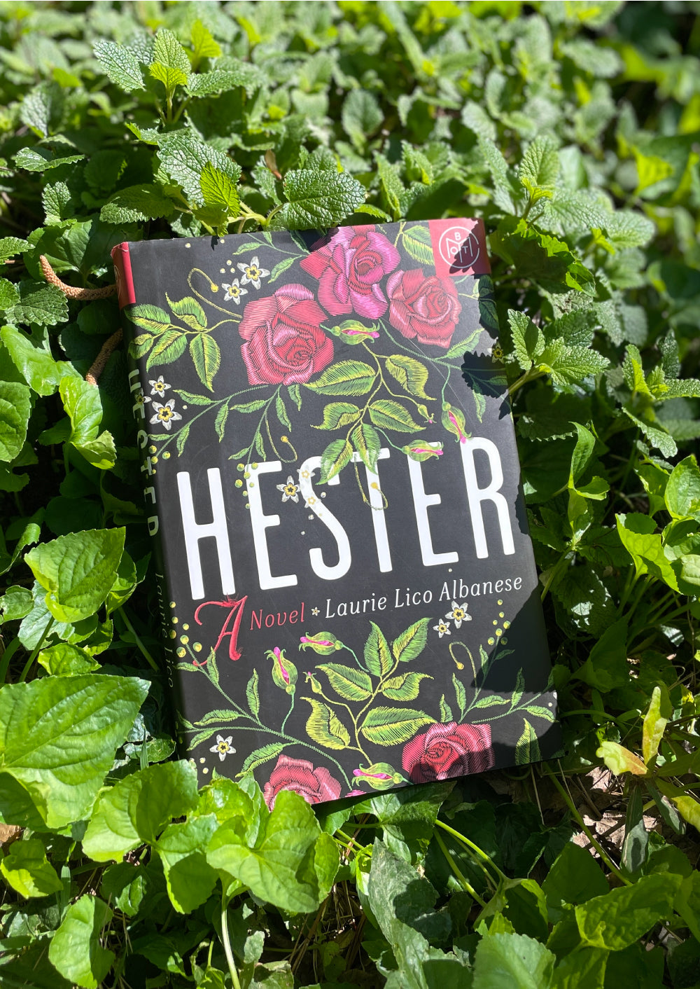 Hester by Laurie Lico Albanese