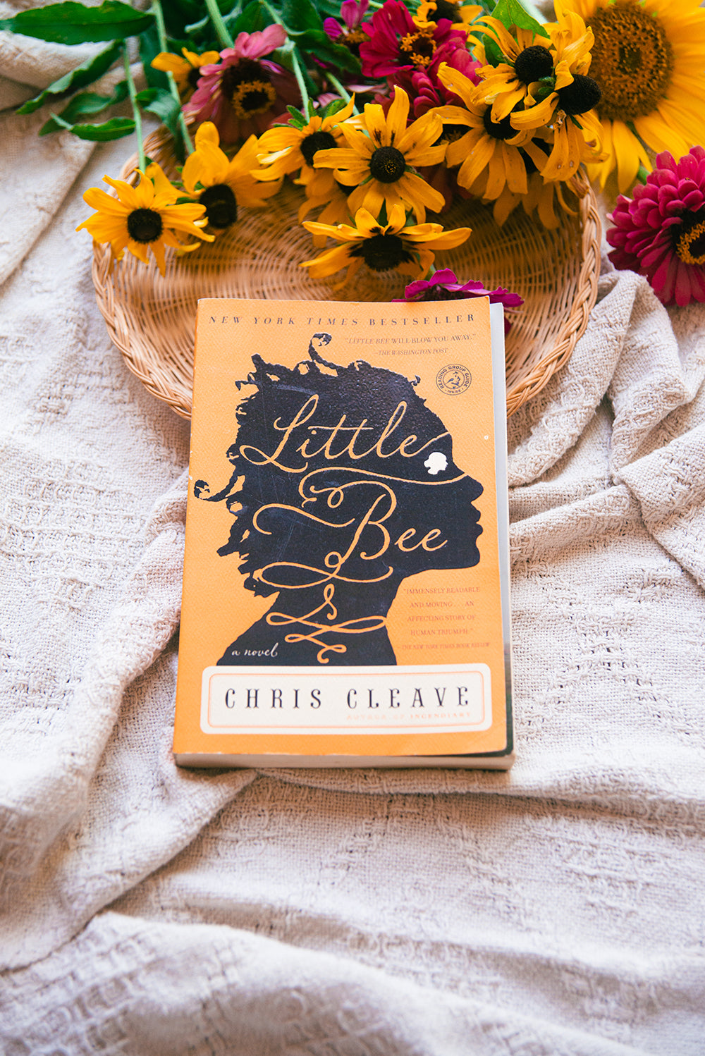 Little Bee by Chris Cleave