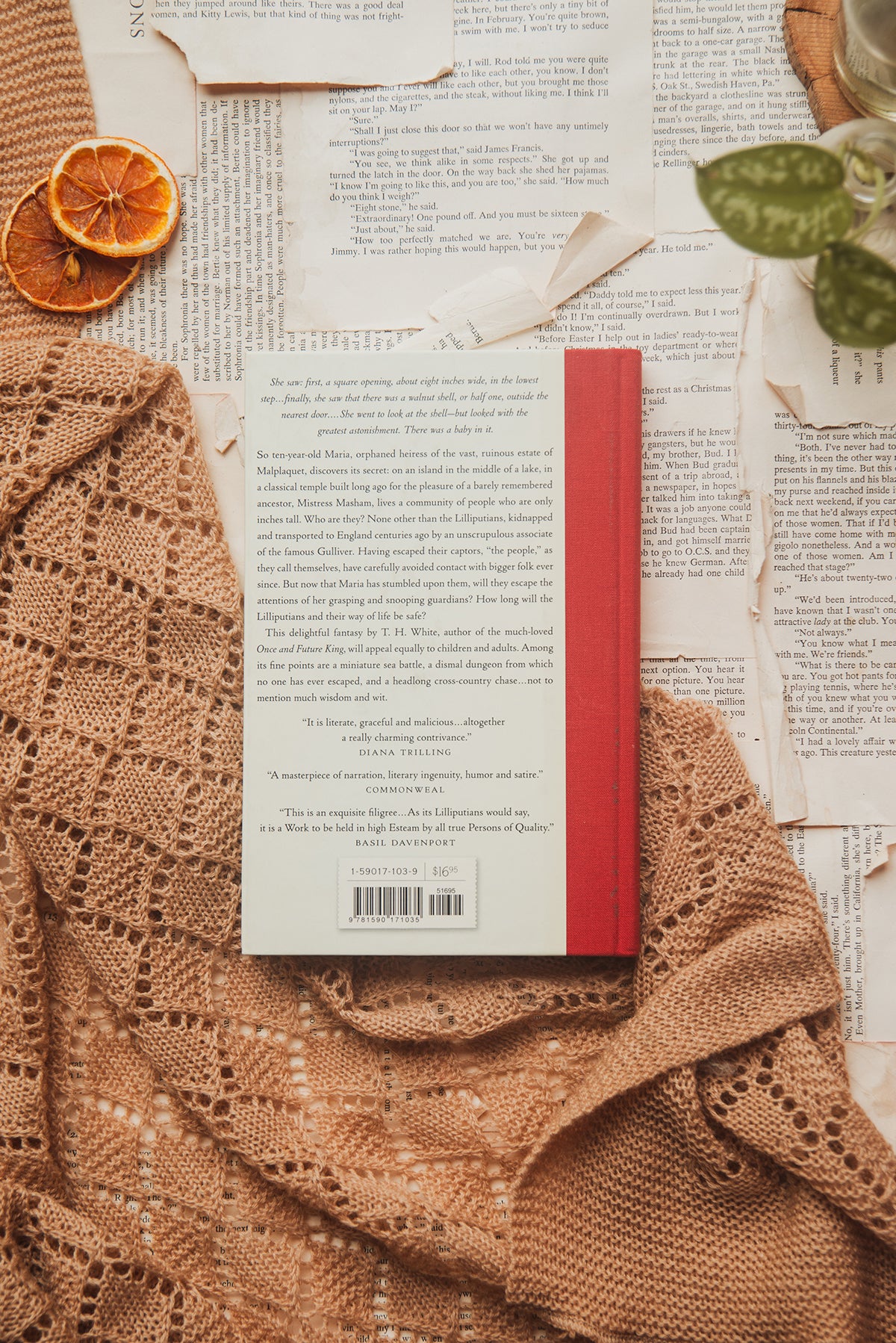 Mistress Masham's Repose by T.H. White