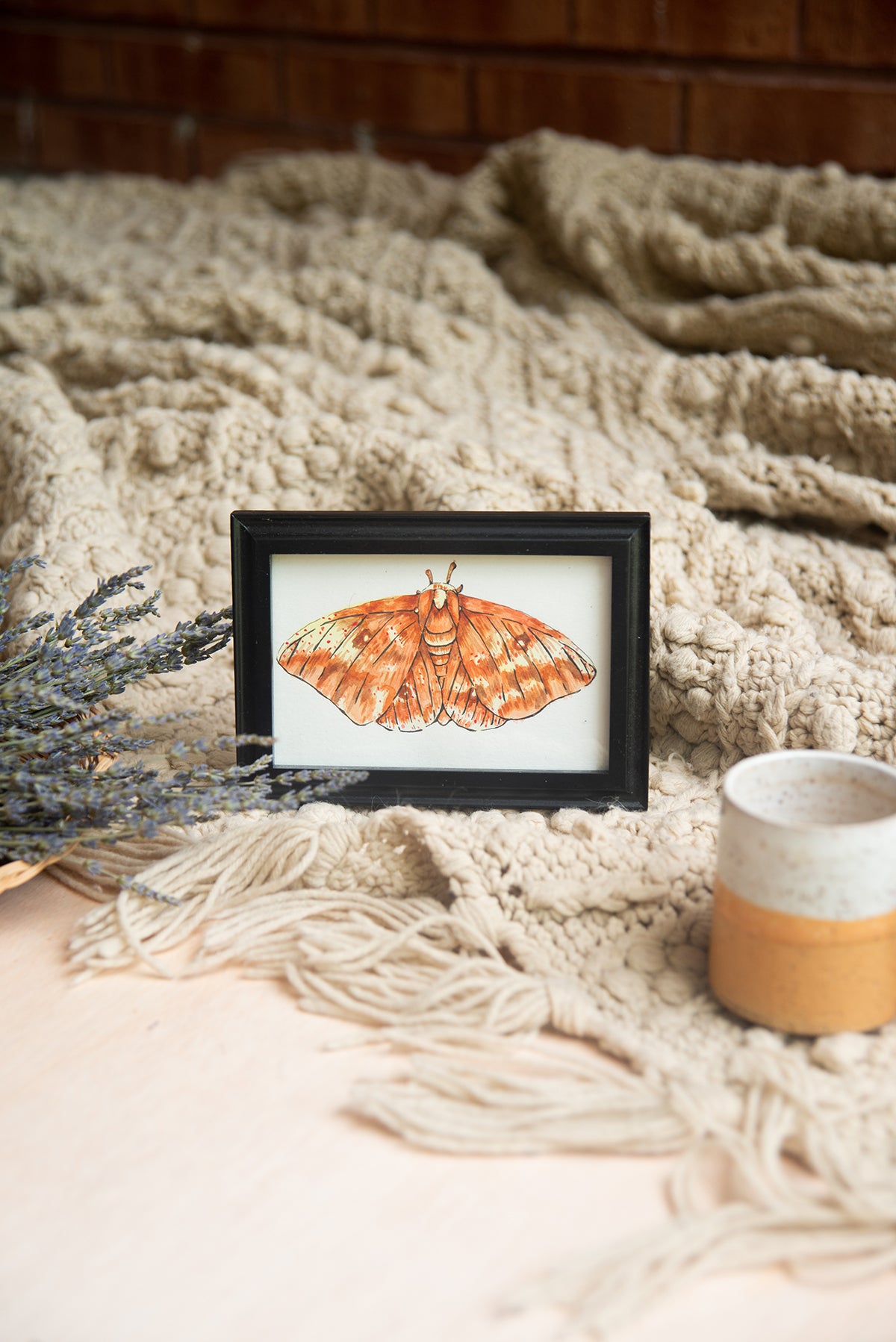 Original Watercolor Moth in Black Frame