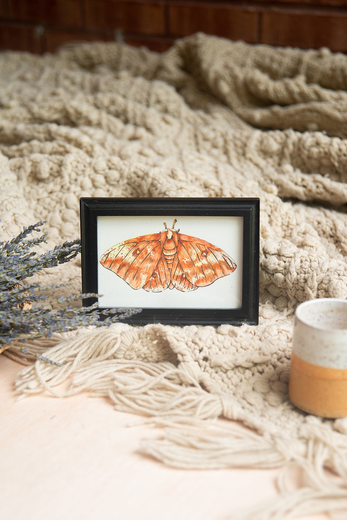 Original Watercolor Moth in Black Frame