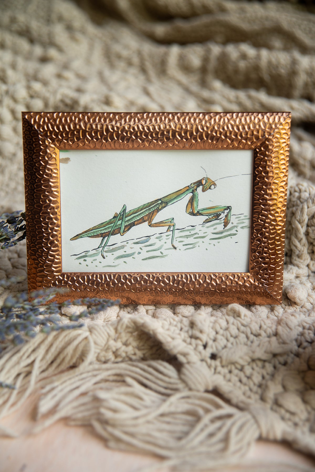 Original Watercolor Praying Mantis in Copper Frame