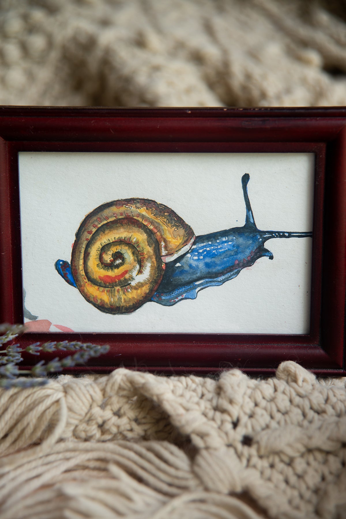 Original Watercolor Snail in Mahogany Frame