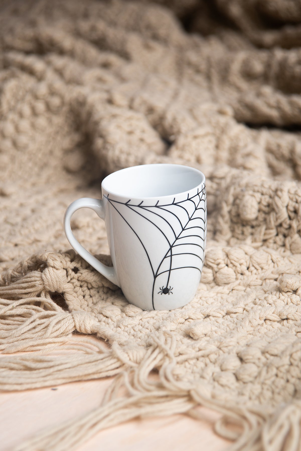 Spider Web Mug