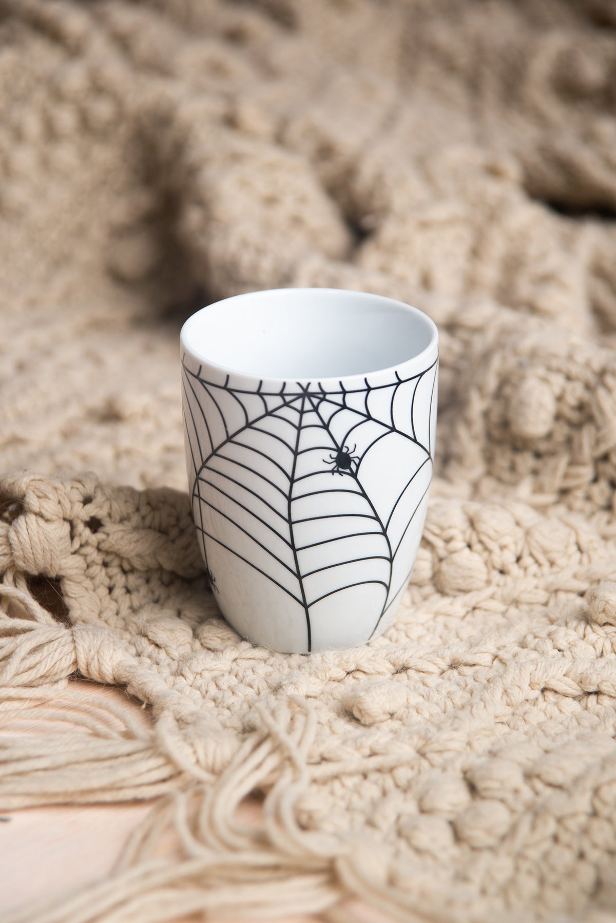 Spider Web Mug