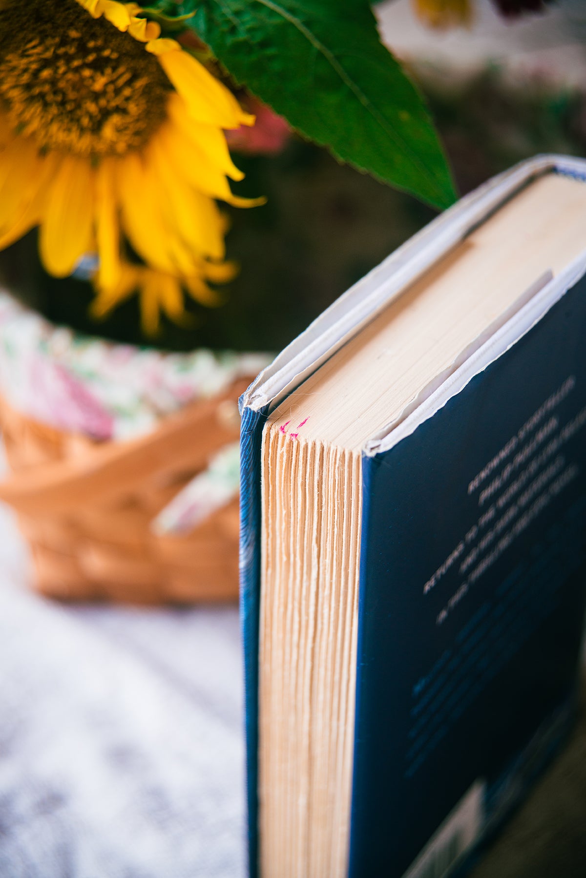 La Belle Sauvage (The Book of Dust) by Philip Pullman