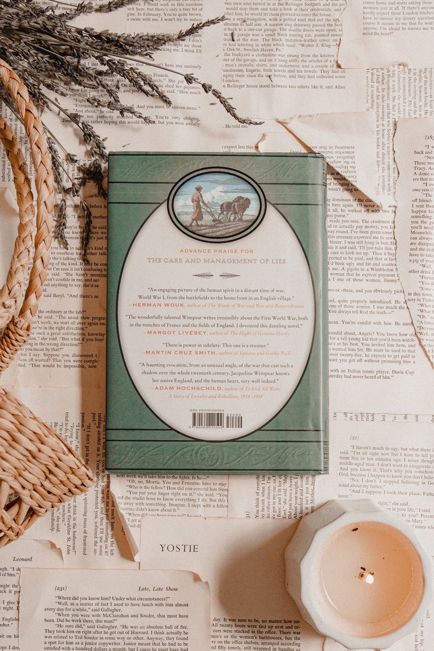 The Care and Management of Lies by Jacqueline Winspear
