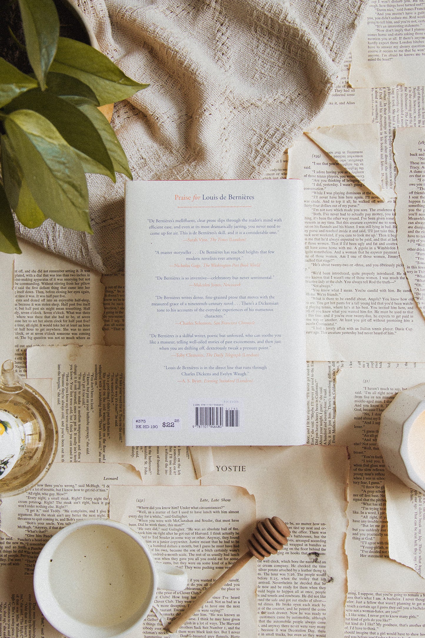 The Dust That Falls From Dreams by Louis de Bernieres
