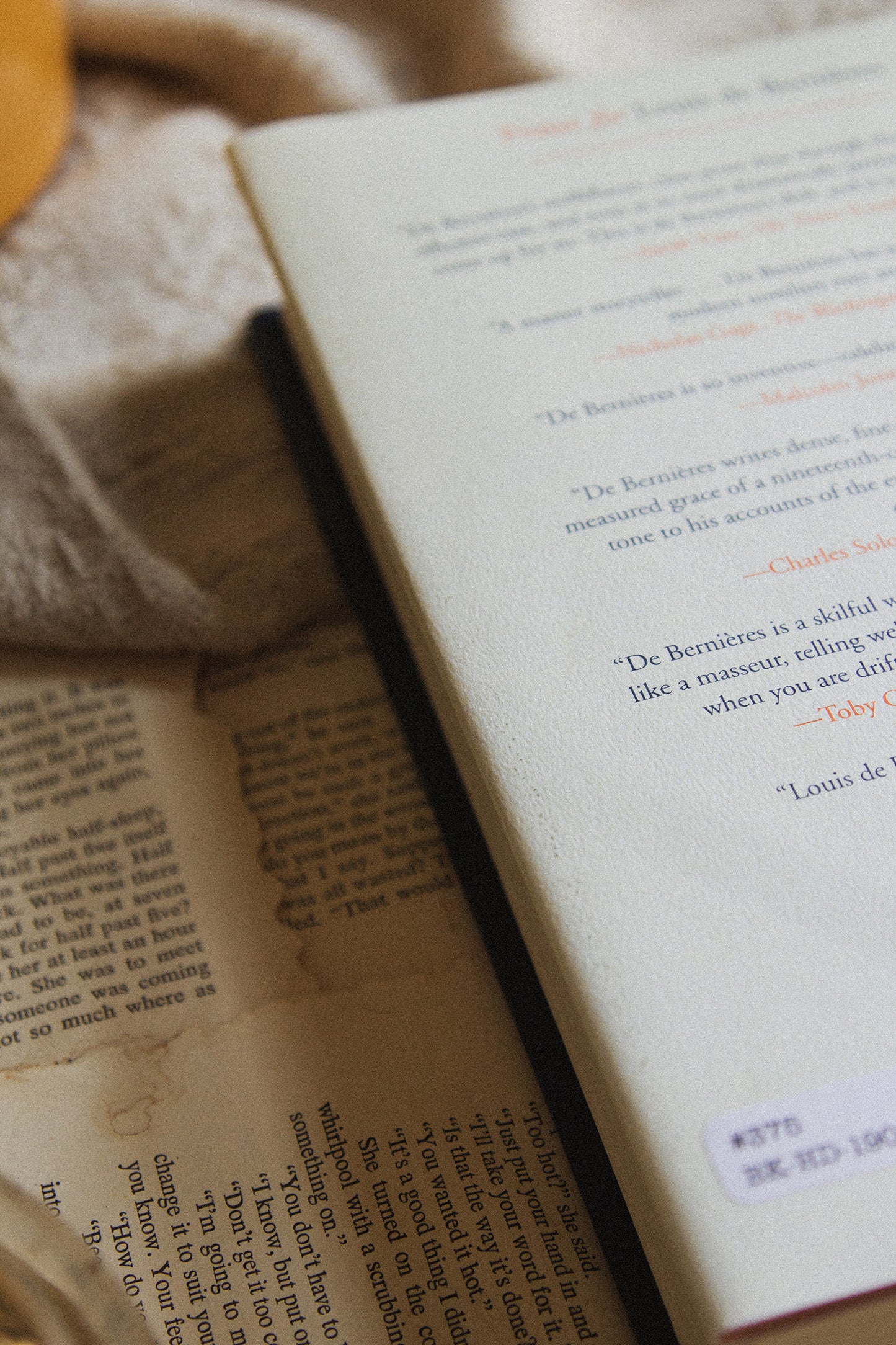 The Dust That Falls From Dreams by Louis de Bernieres