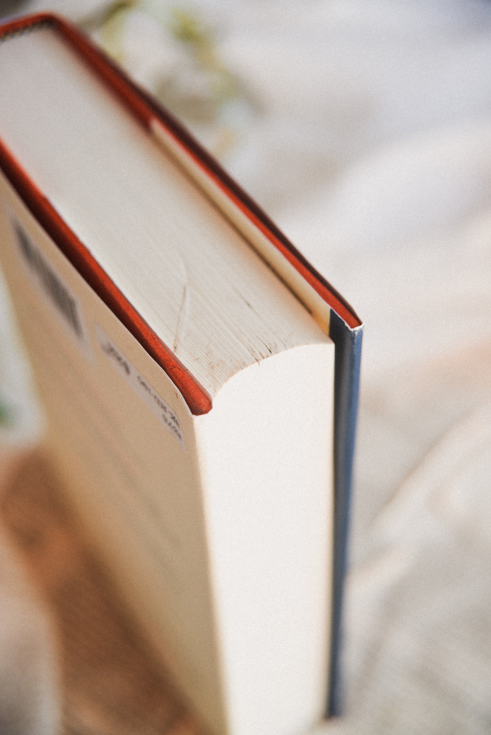 The Dust That Falls From Dreams by Louis de Bernieres