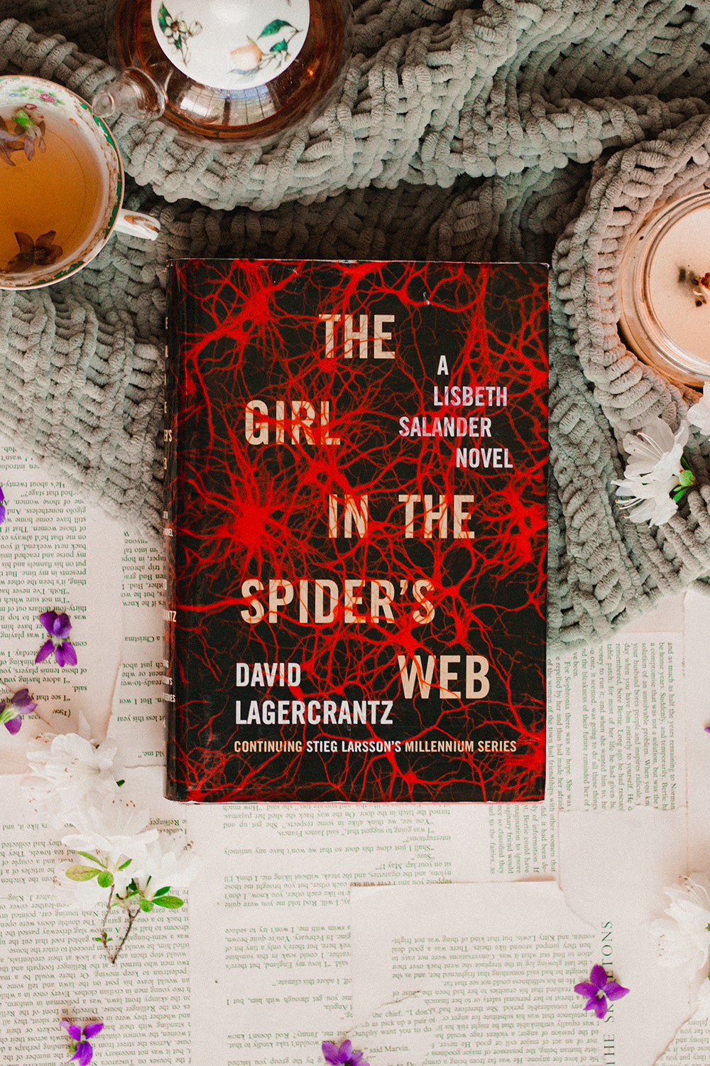 The Girl in the Spider's Web by David Lagercrantz