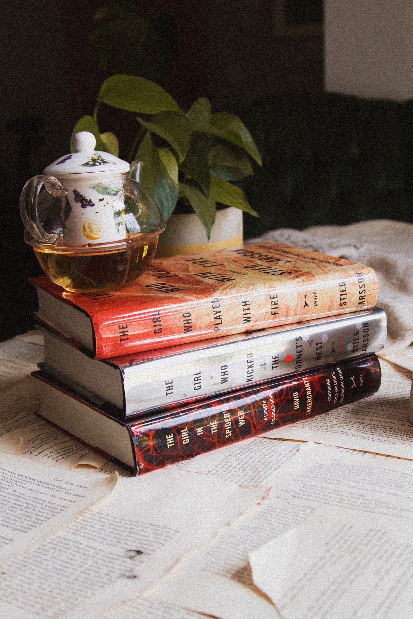 Millennium Series (Books 2-4)