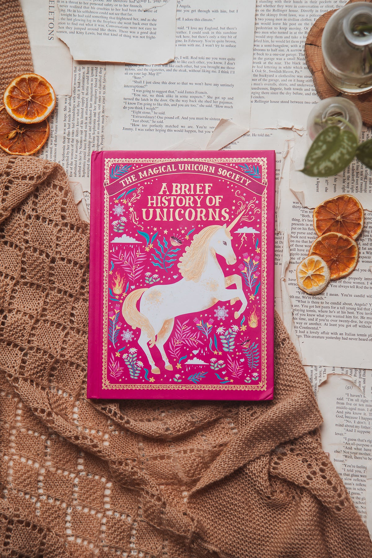 A Brief History of Unicorns by Selwyn E. Phipps