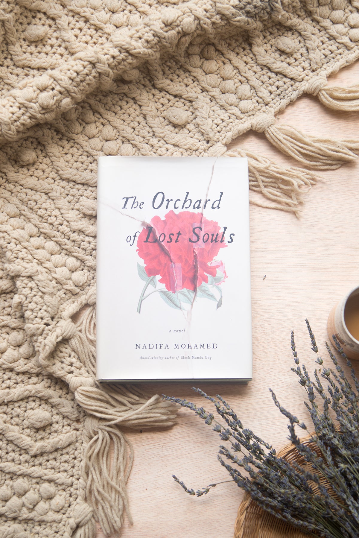 The Orchard of Lost Souls by Nadifa Mohamed