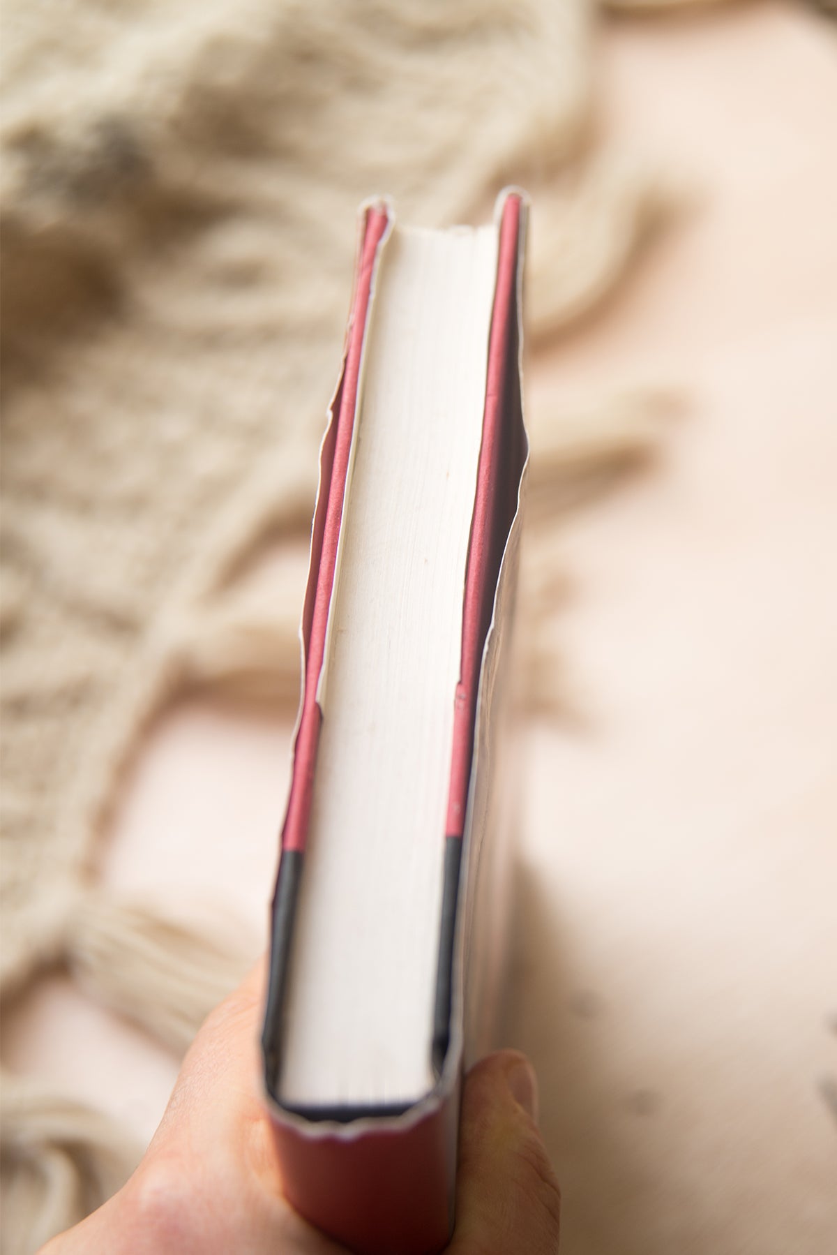 The Paris Wife by Paula McLain