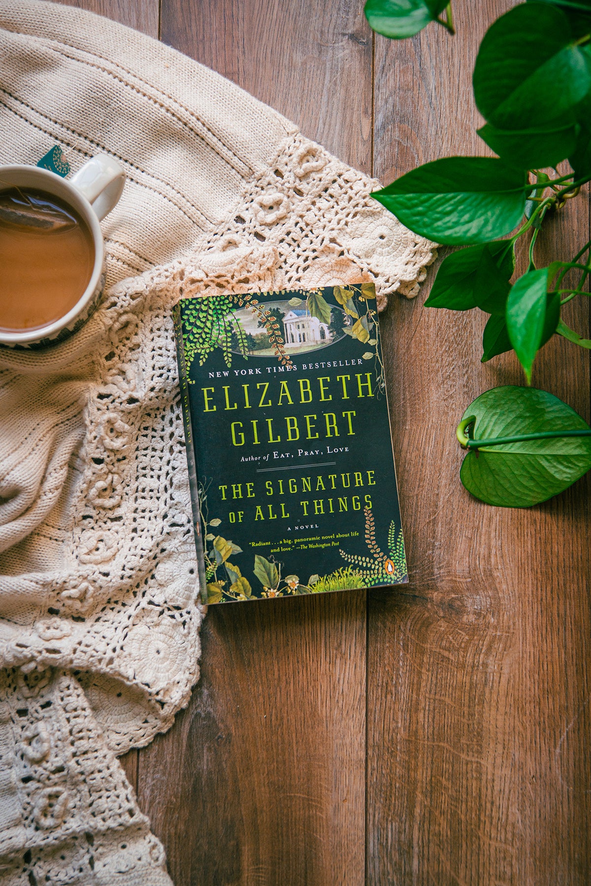 The Signature of All Things by Elizabeth Gilbert