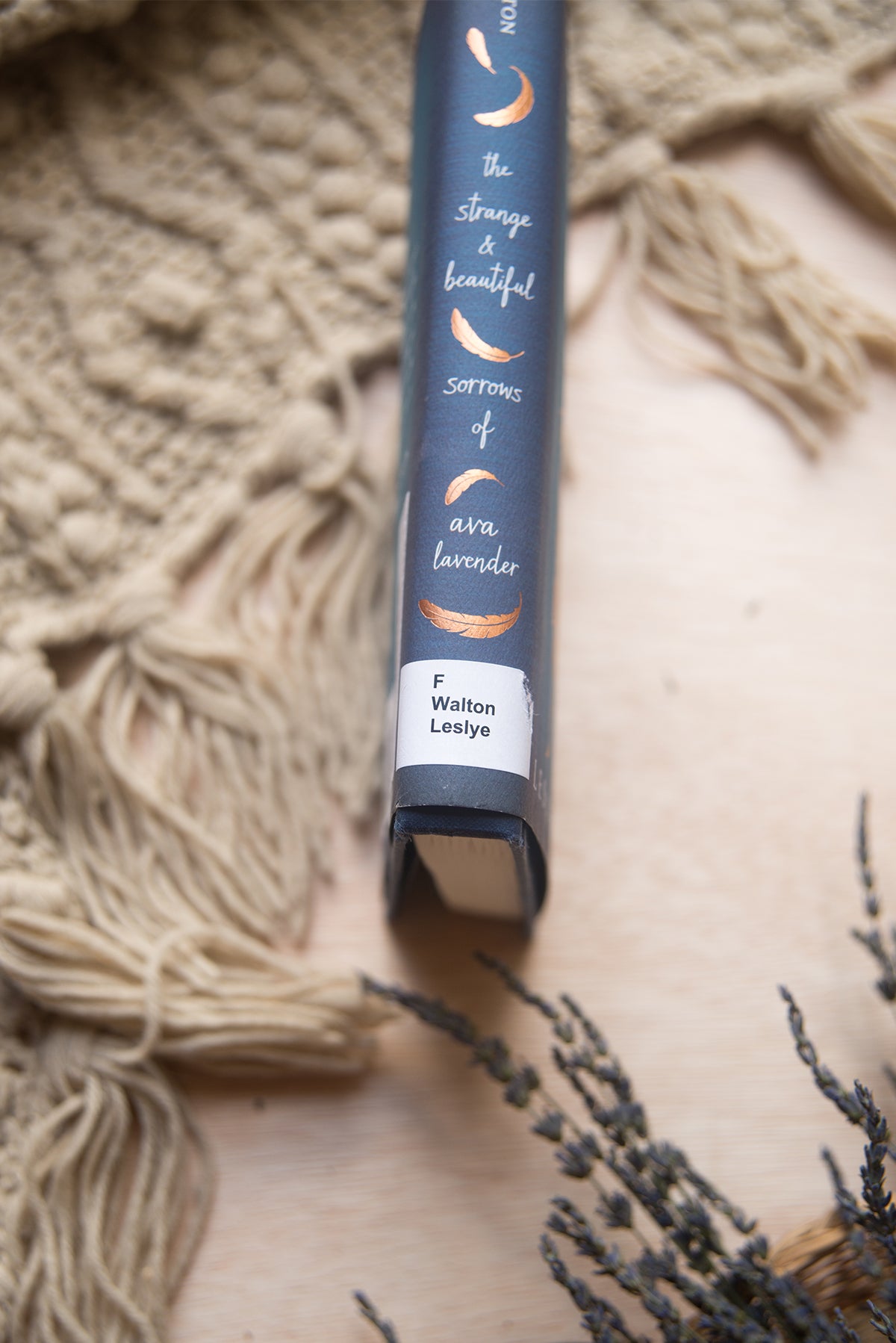 The Strange and Beautiful Sorrows of Ava Lavender by Leslye Walton