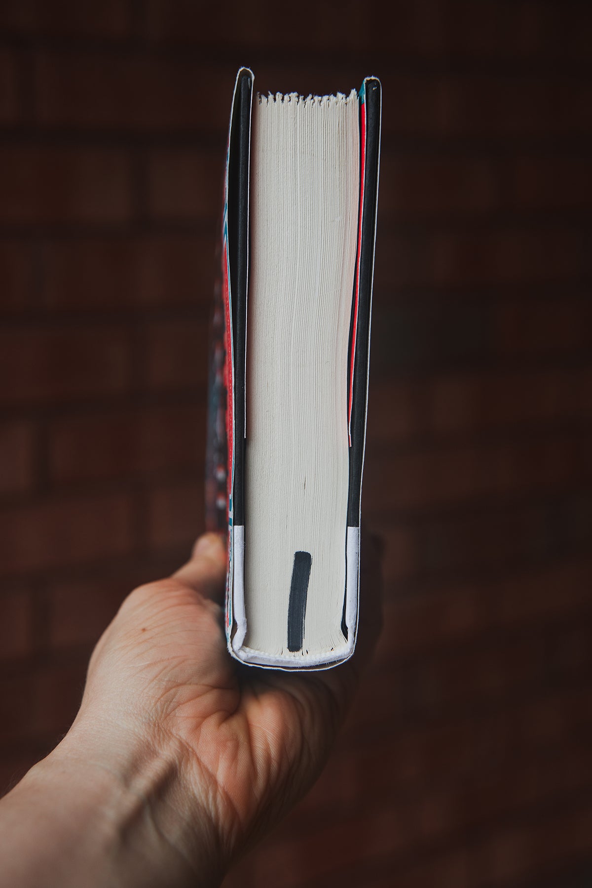 The Yiddish Policemen's Union by Michael Chabon