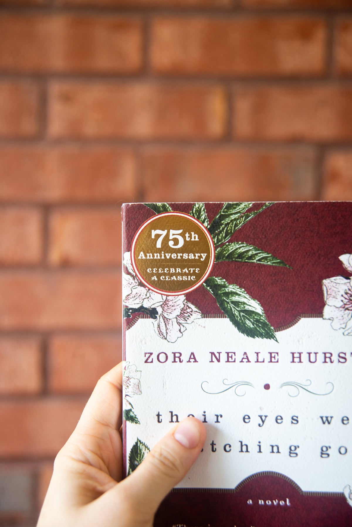 Their Eyes were Watching God (75th Edition) by Zora Neale Hurston