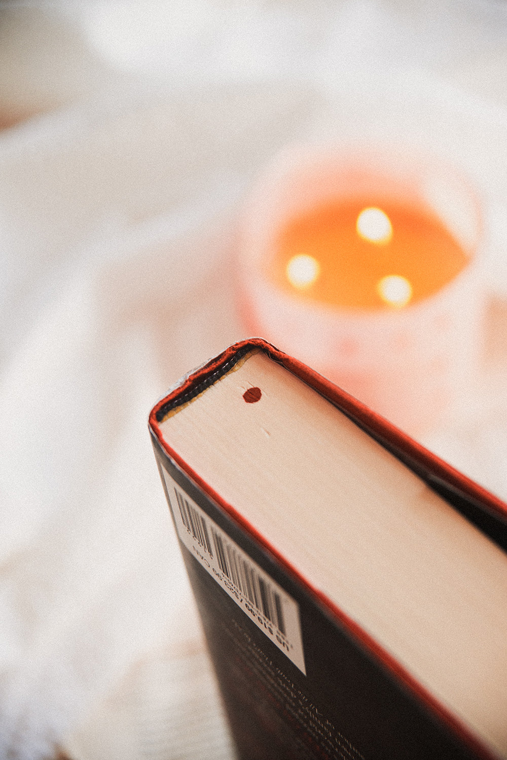 These Shallow Graves by Jennifer Donnelly