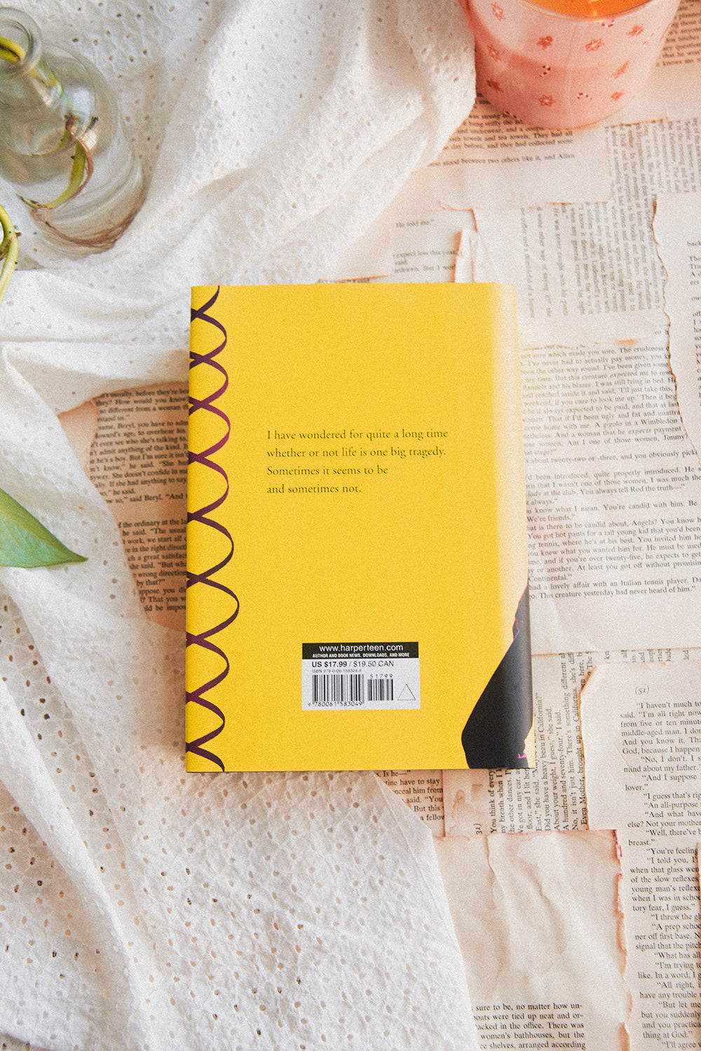 This Full House by Virginia Euwer Wolff