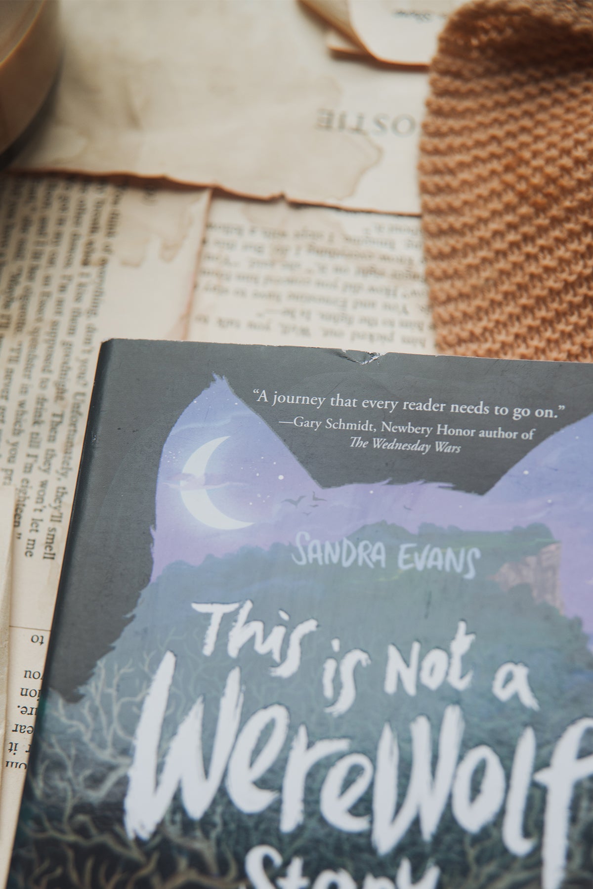 This is Not a Werewolf Story by Sandra Evans