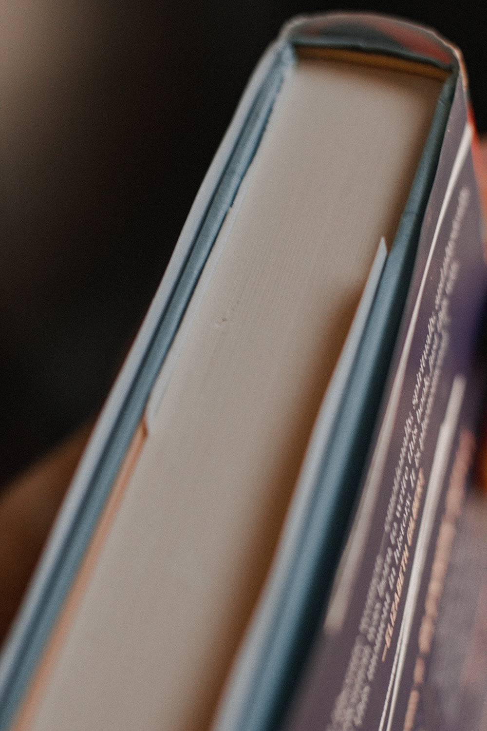 Untamed by Glennon Doyle