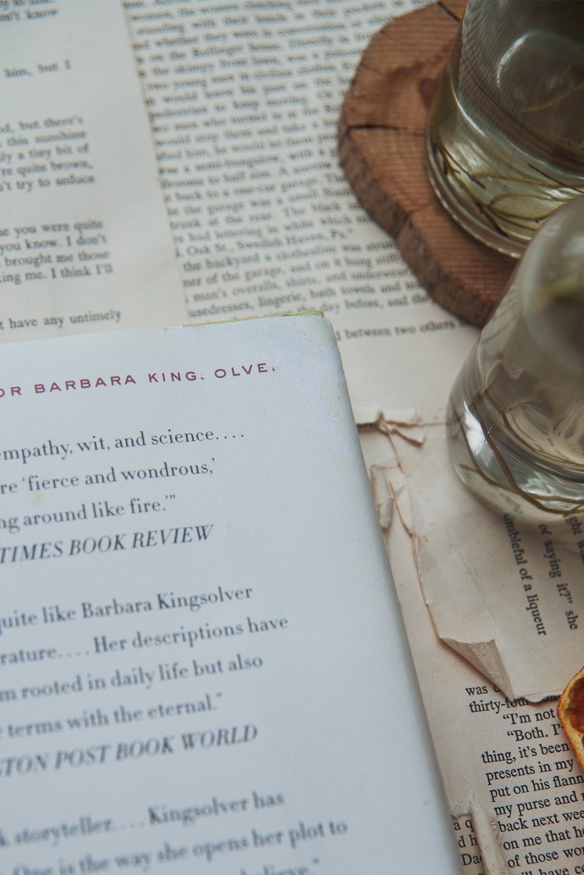 Unsheltered by Barbara Kingsolver
